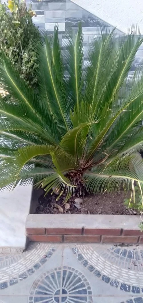 Aménagement des espaces verts