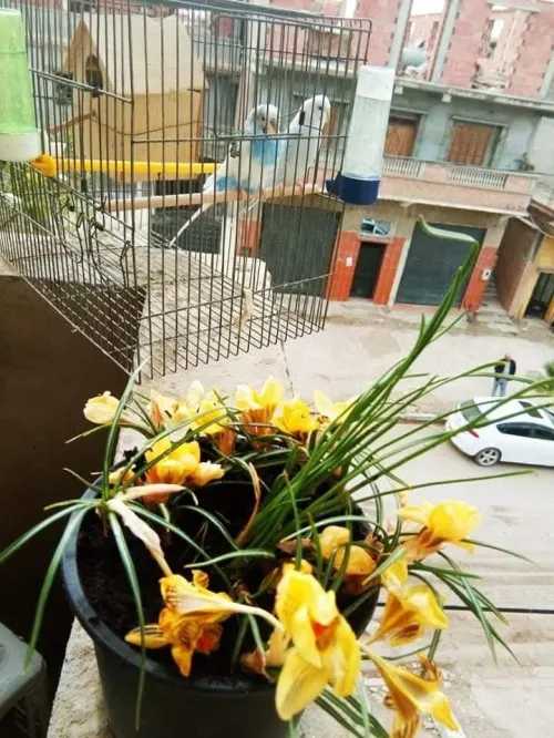 Aménagement des espaces verts
