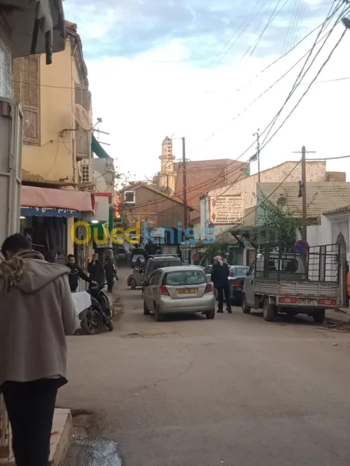 Location Local Tipaza Kolea