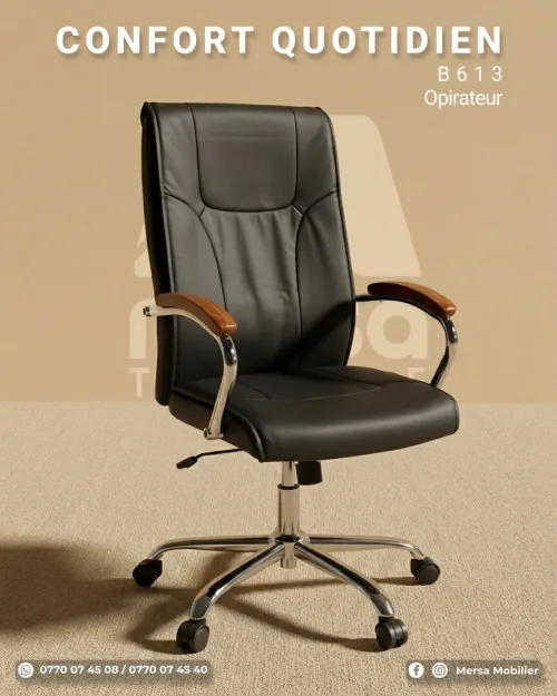 Chaises Bureau - Office, Luxe, Budget, Gaming