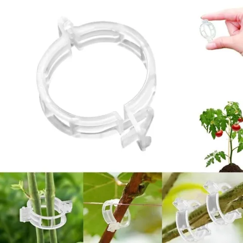 Clip tomate