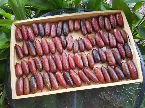 ليمون الكافيار الحقيقي 