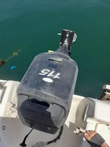Bateaux 6m50 avec moteur 115cv et sa places 