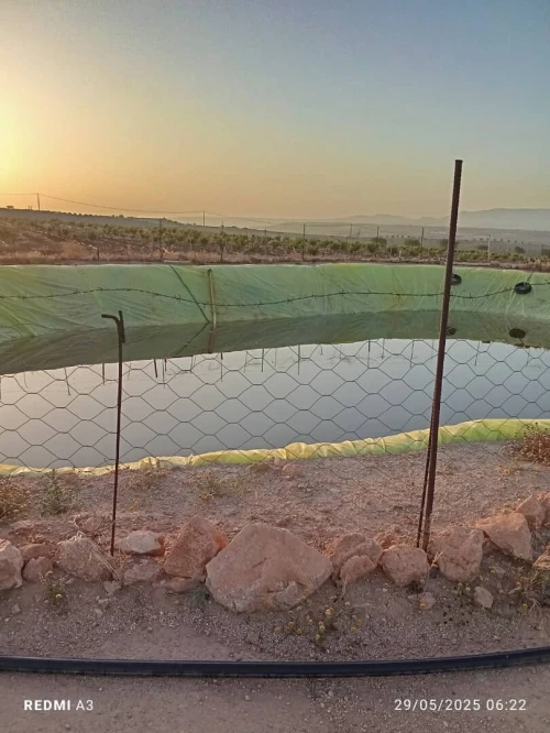 Vente Terrain Agricole Tlemcen Tlemcen