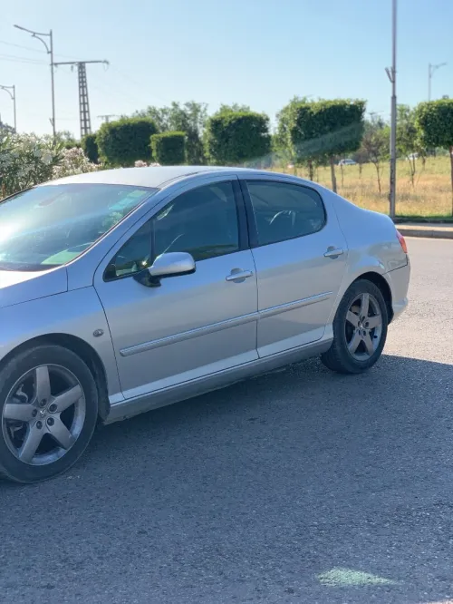 Peugeot 407 2007 407