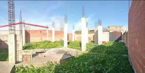 Cherche achat Terrain Boumerdès Ouled moussa