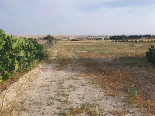 Vente Villa Mila Chelghoum laid
