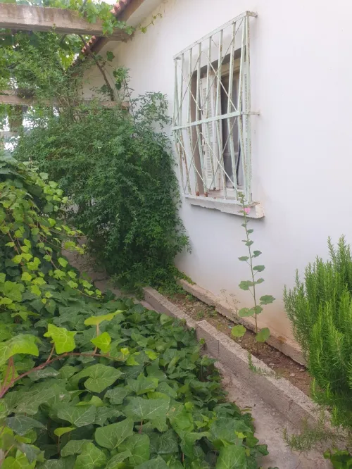 Vente Villa Mila Chelghoum laid