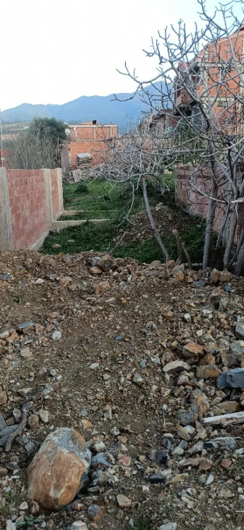 Vente Terrain Blida Ouled selama