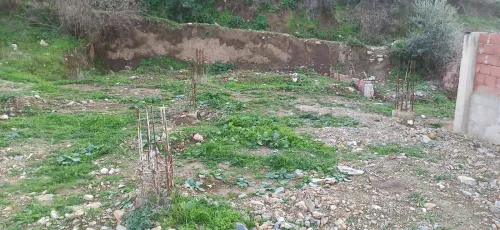 Vente Terrain Blida Ouled selama