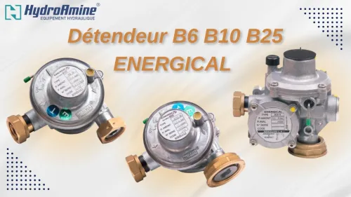 DETENDEUR A GAZ B06 B10 B25