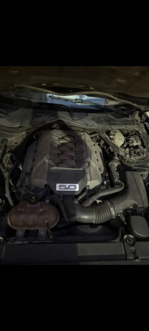 Ford Mustang 2016 GT 500