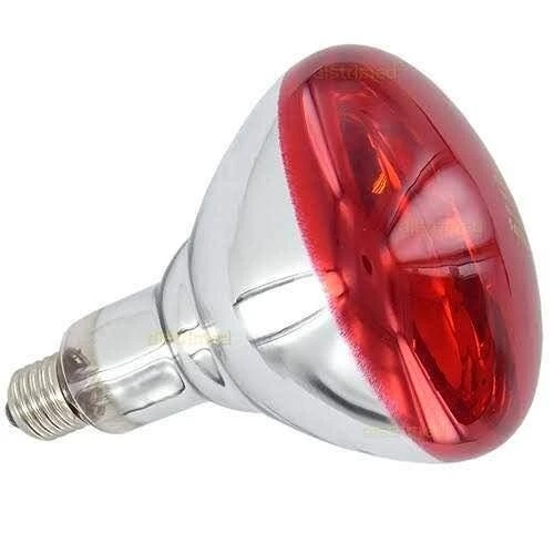 Lampe chauffante couveuse