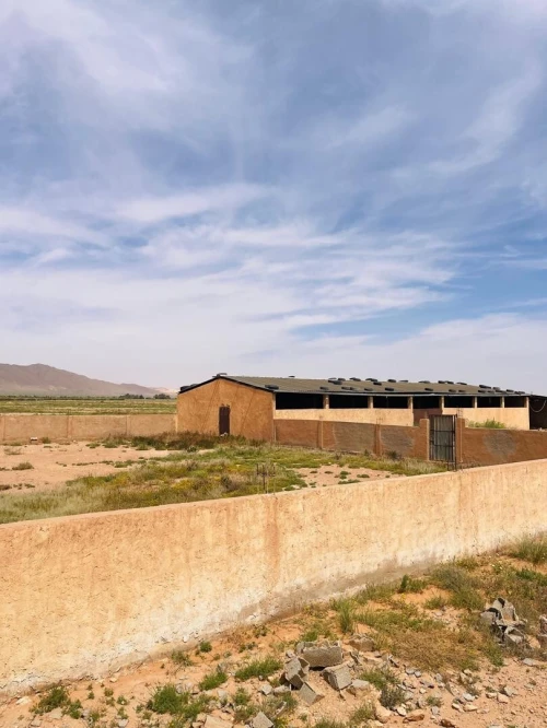 Vente Terrain Agricole Naâma Mecheria 3