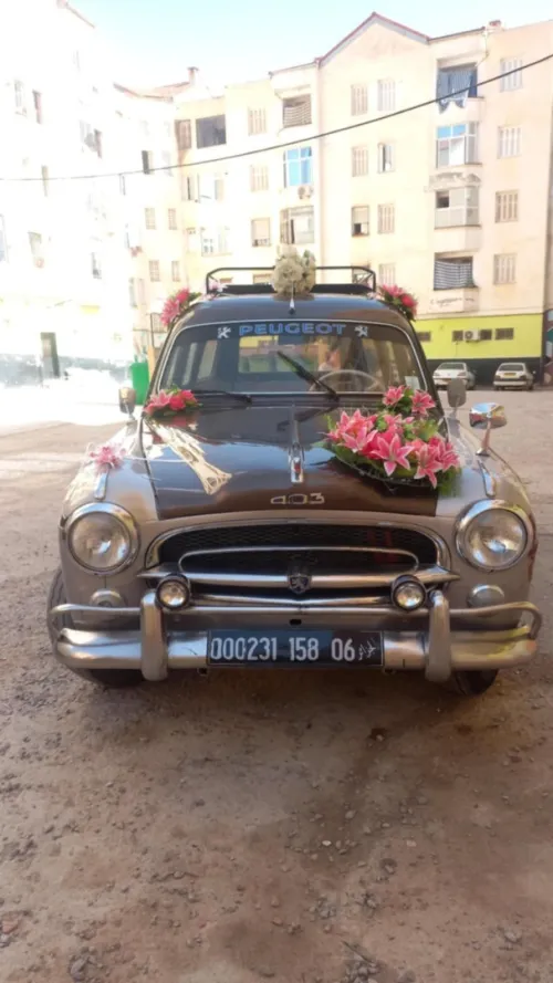 Peugeot 403 1958 403
