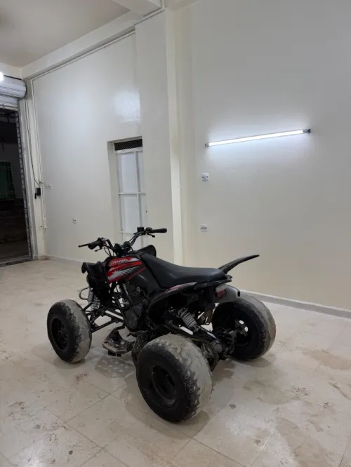 Vms Raptor 2024