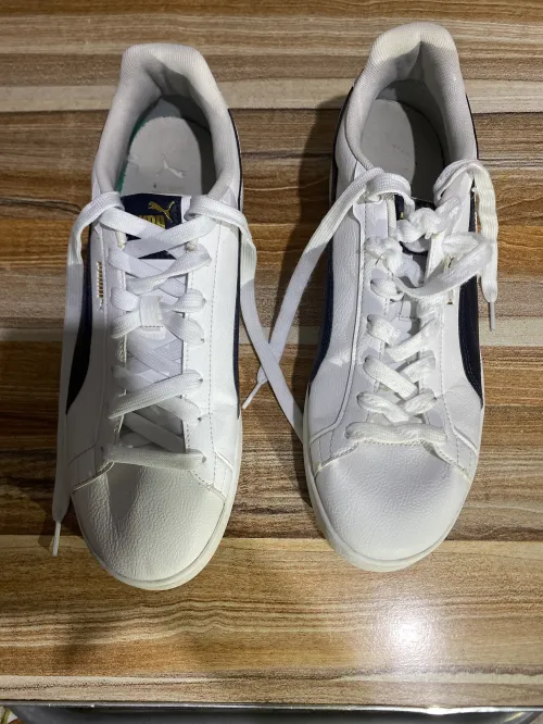 Puma clasique