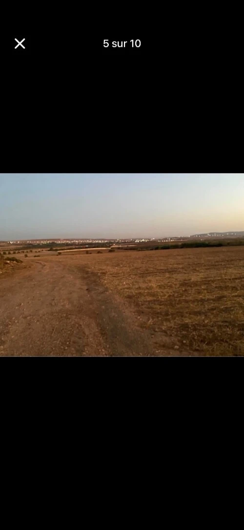 Vente Terrain Agricole Oran Boufatis 6