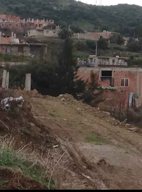Vente Terrain Blida Djebara