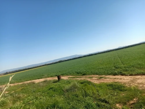 Vente Terrain Agricole Tlemcen Maghnia