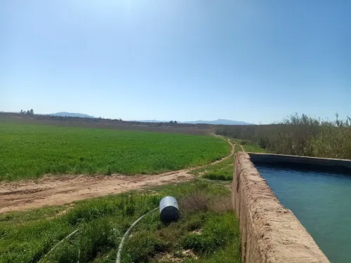 Vente Terrain Agricole Tlemcen Maghnia