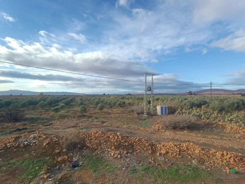 Vente Terrain Agricole Tlemcen Maghnia