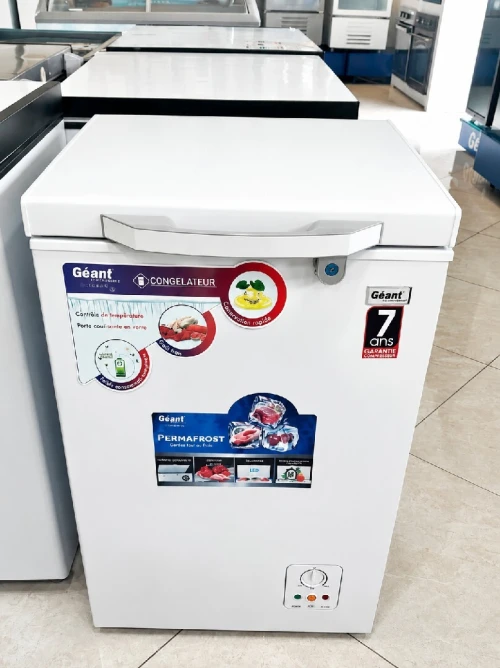 Congélateur géant 100 L