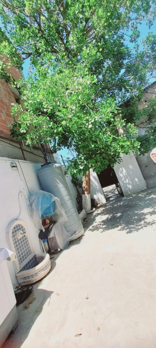 Vente Villa Alger Sidi moussa