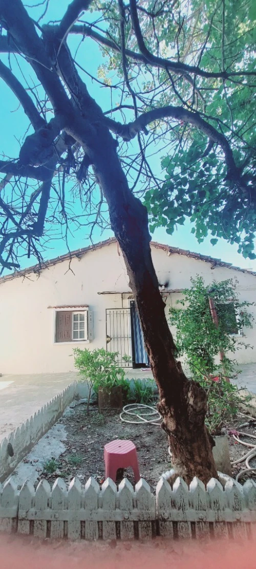 Vente Villa Alger Sidi moussa