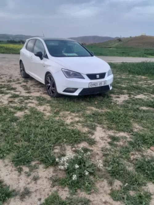Seat Ibiza 2015 