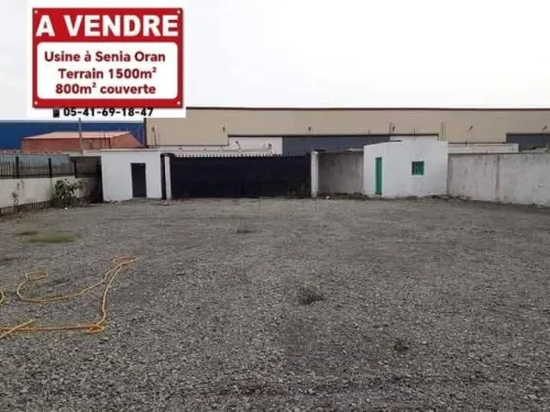Vente Hangar - Usine Oran Oran