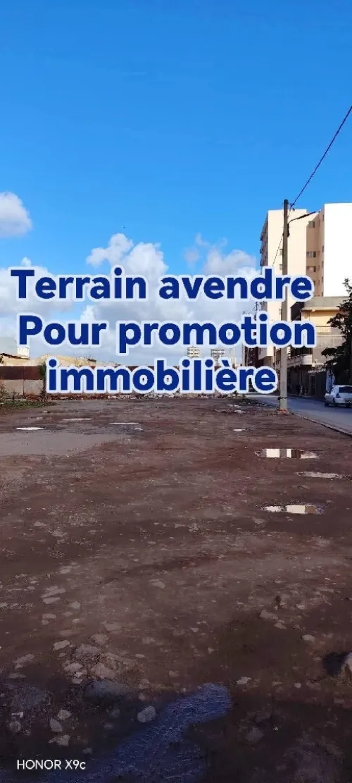 Vente Terrain Oran Oran