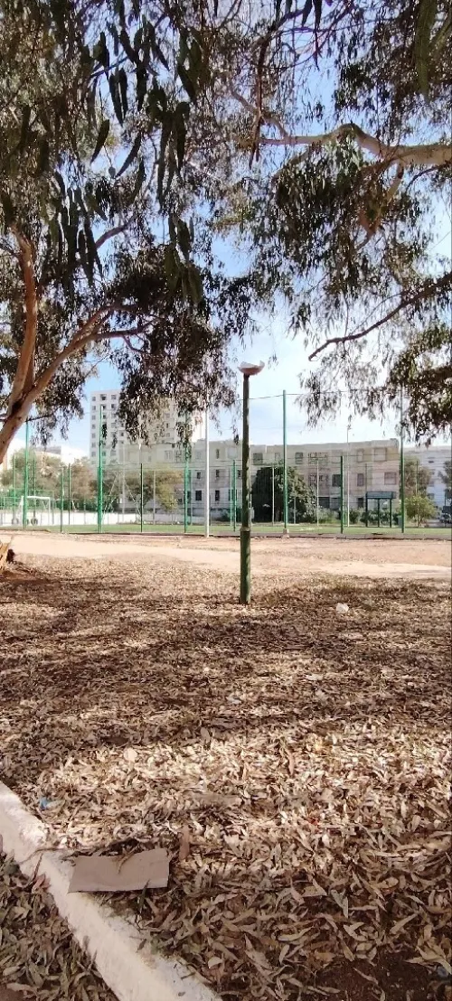 Vente Appartement F3 Oran Oran
