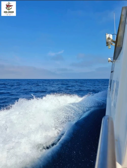 Bateau Peche & Plaisance 