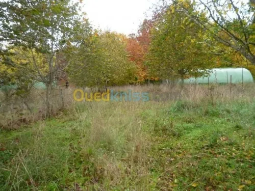 Vente bien immobilier Nouvelle Aquitaine Nouvelle Aquitaine