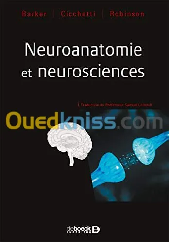 Neuroanatomie et neurosciences
