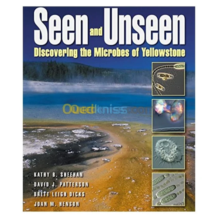 Seen and Unseen: Discovering The Microbes of Yellowstone