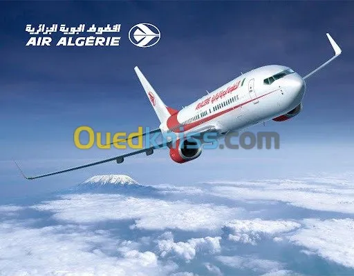BILLETS D'AVIONS تذاكر الطيران