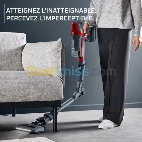 ROWENTA ASPIRATEUR XPERT FLEX 6.60 SANS FIL MODELE ANIMAL RH6876WO