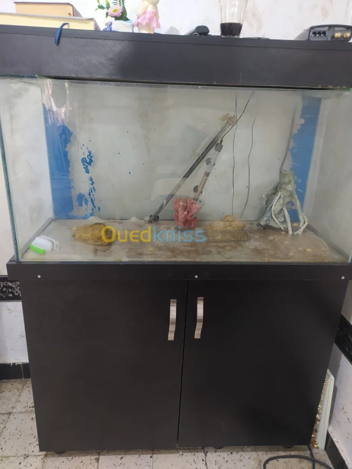 Aquarium avec table