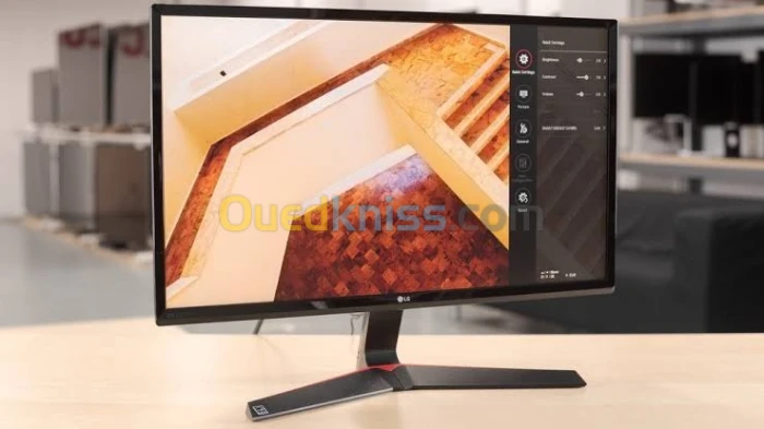 LG IPS Gaming Monitor 24"