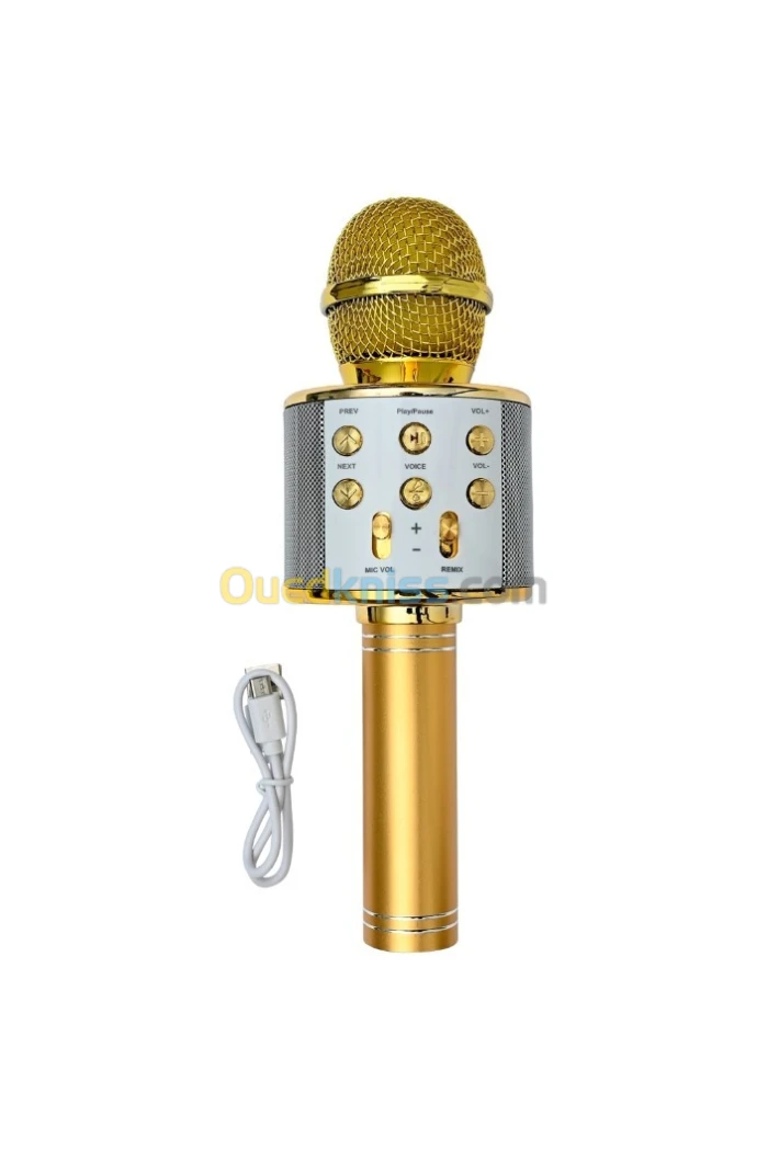 Micro enceinte