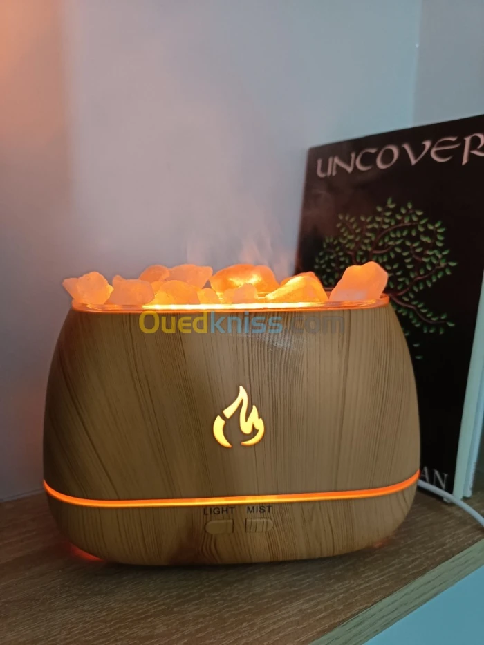 HUMIDIFIER HUMIDIFICATEUR DIFFUSEUR DU PARFUM ELECTRNIQUE CHEMINE AVEC SEL DE HIMALAYA FLURESCENT