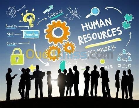 Ressources Humaines