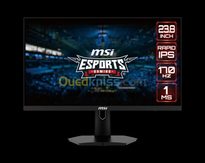 ECRAN MSI 24" G244F IPS 170HZ 1MS FHD