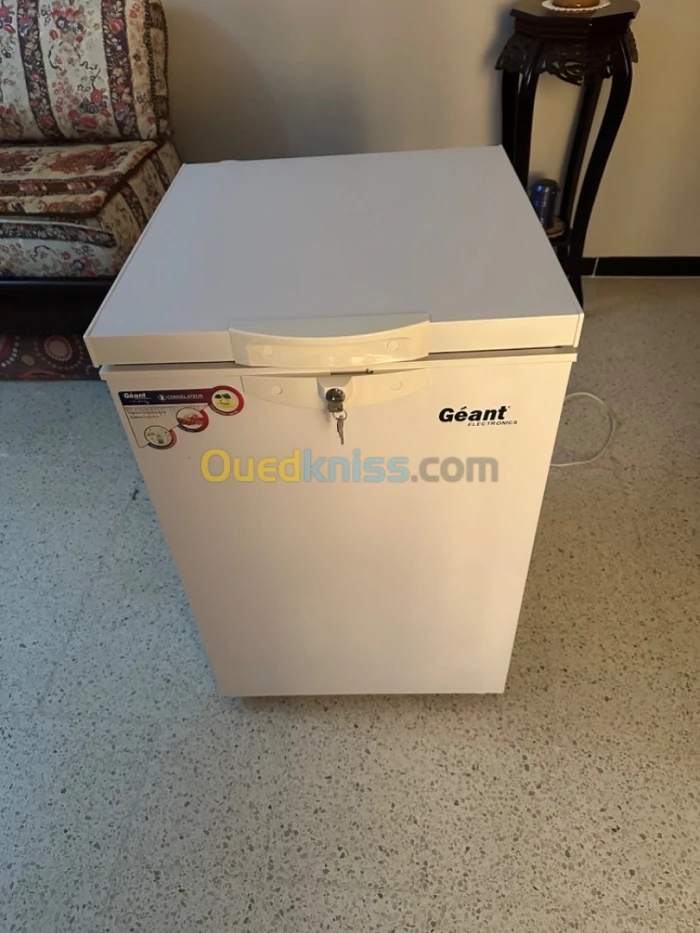 Congélateurs Géant 100L