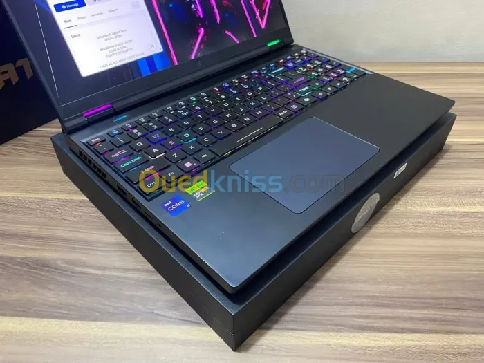 ACER PREDATOR HELIOS NEO16/INTEL I9-14900HX/16GB DDR5/1024 GB/NIVIDIA RTX 4060 08GB/16 2.5K 165HZ   