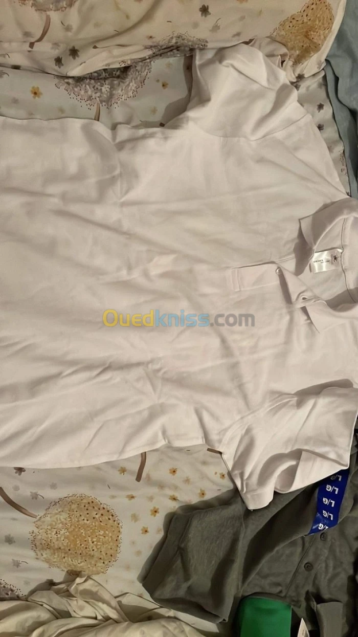 Pull original polo express tommy caba ml canda