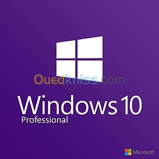 Windows 10 / 11 professional  