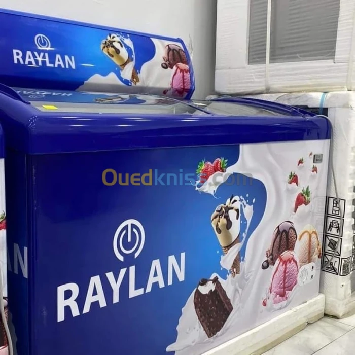 PROMOTION congélateur crème glacée raylan